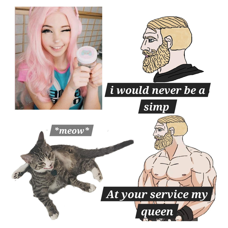 cat meme sticker